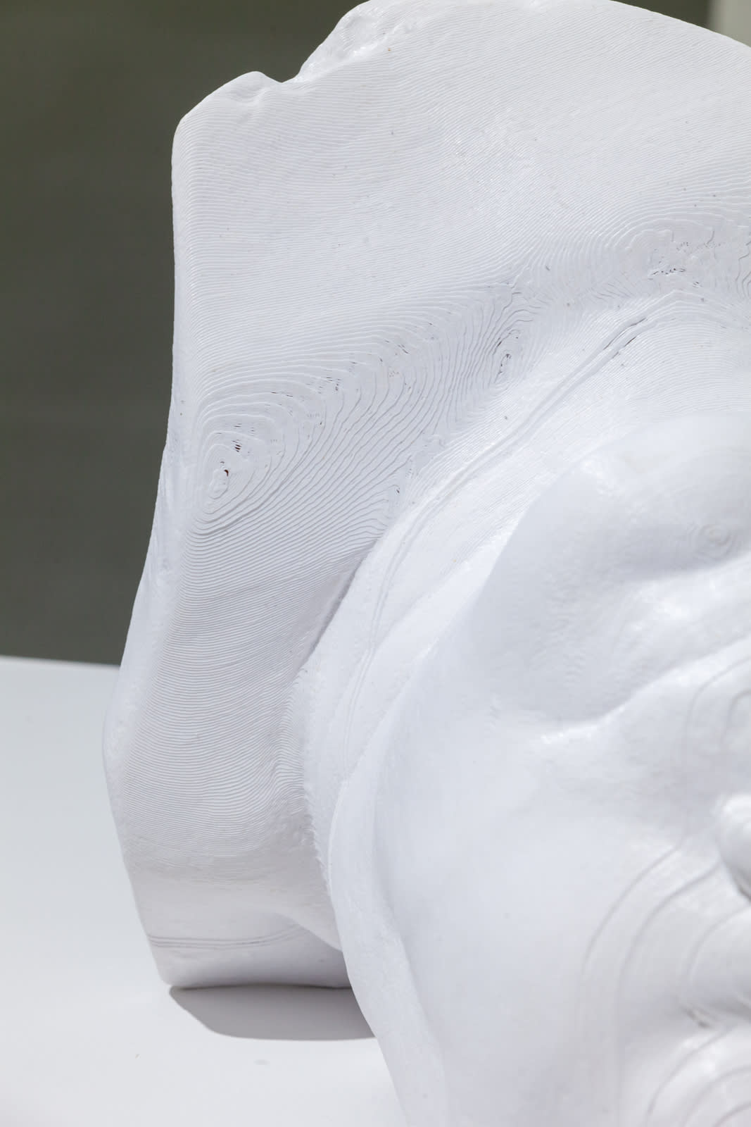 Michael Joo, From Without, 2020