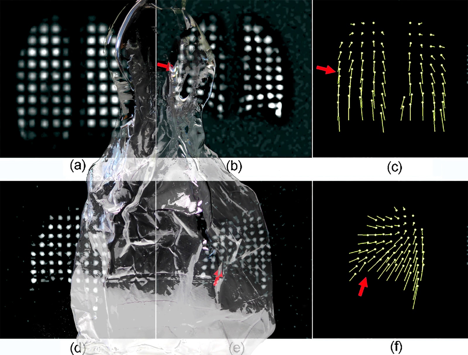 Michael Joo, Single Breath Transfer (Hyperpolarized), 2020