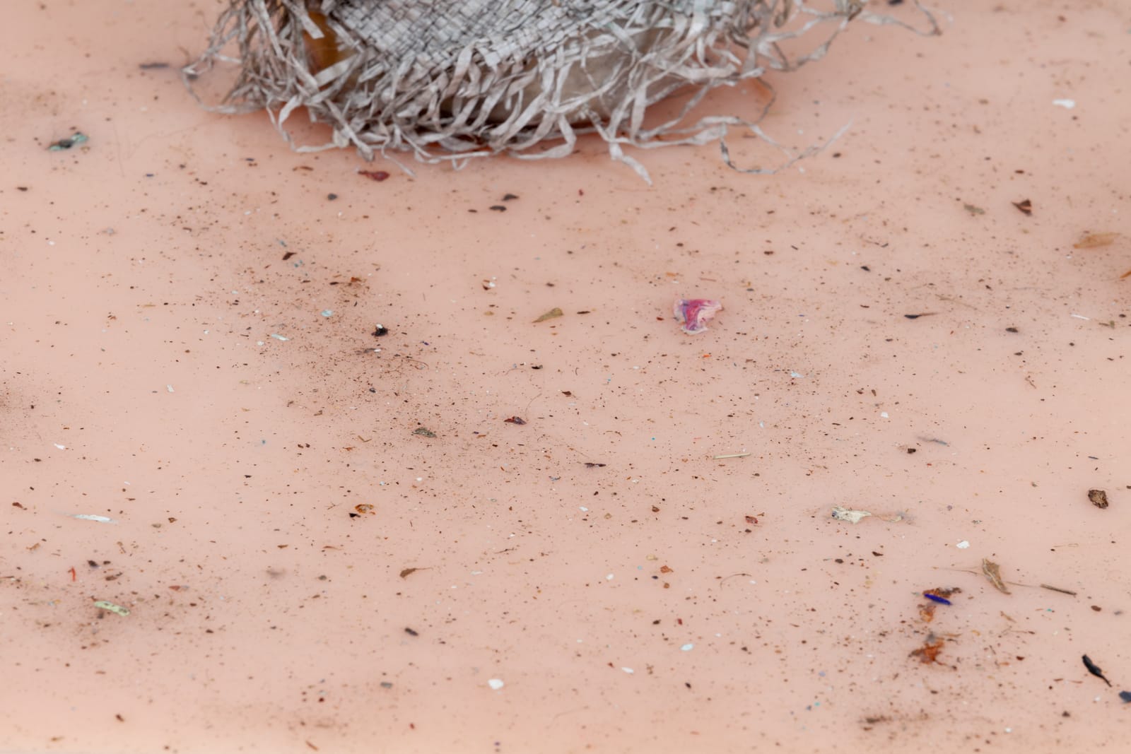 Manuel Mathieu, Wet Mammy, 2021