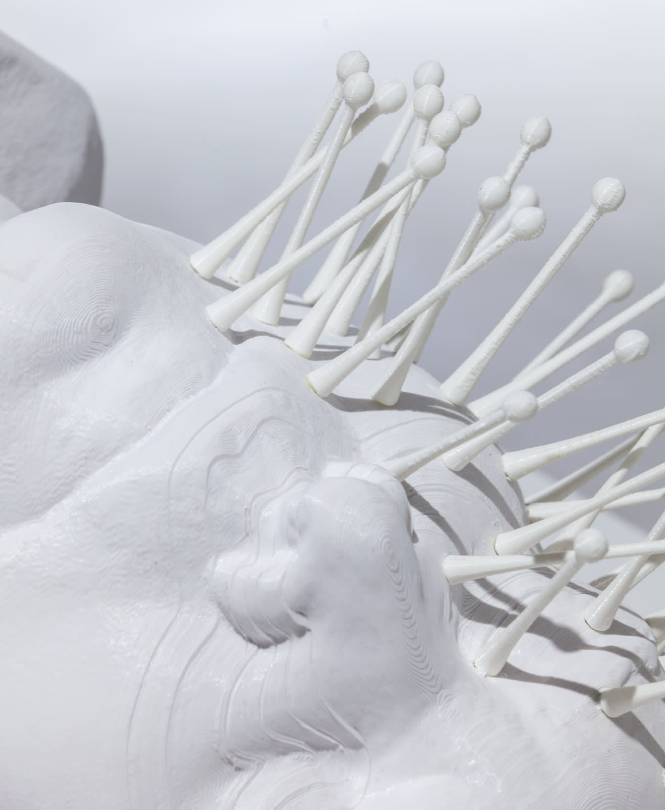 Michael Joo, From Without, 2020