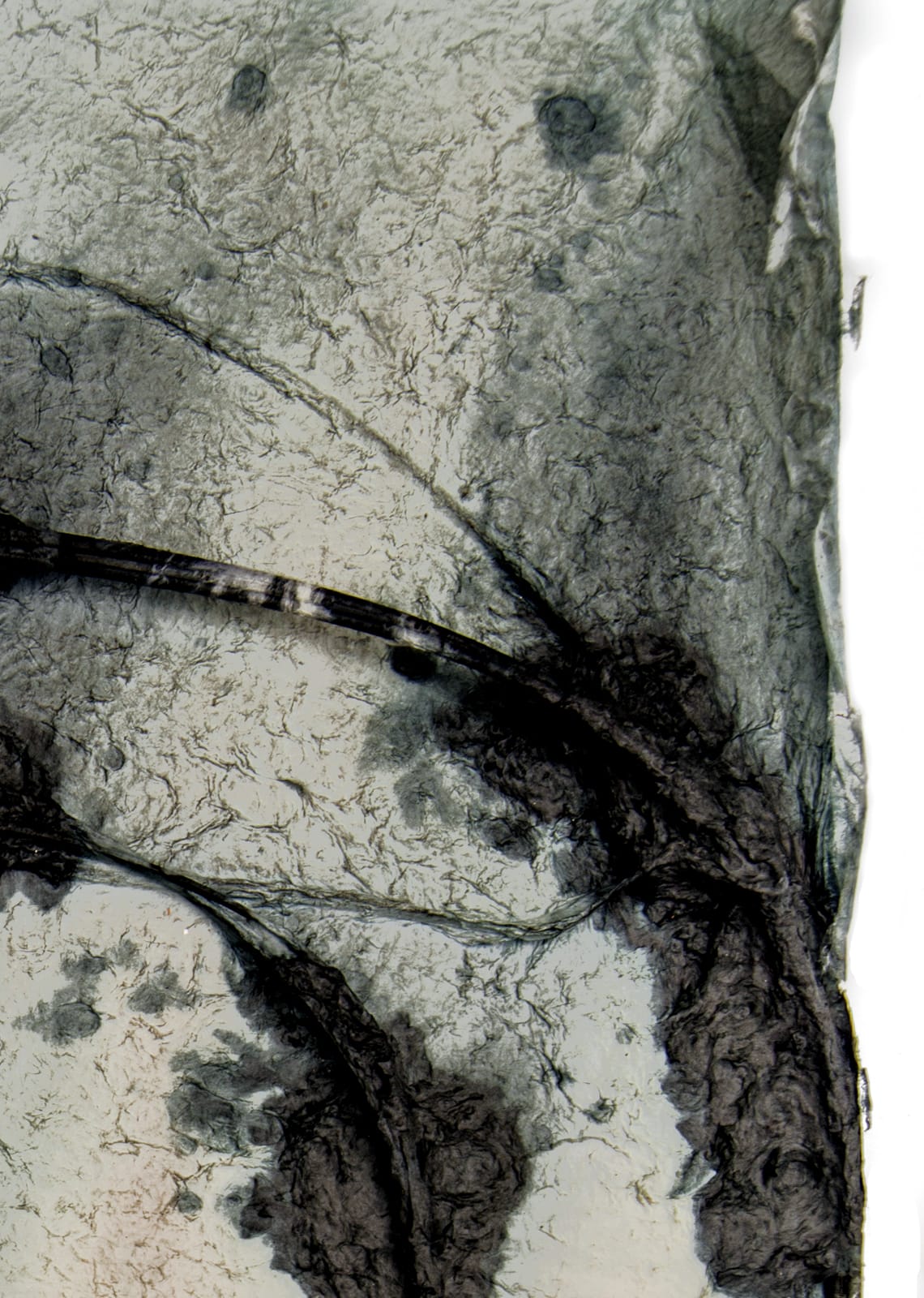 Jessica Stockholder, Untitled (Kathmandu Residency 044), 2019