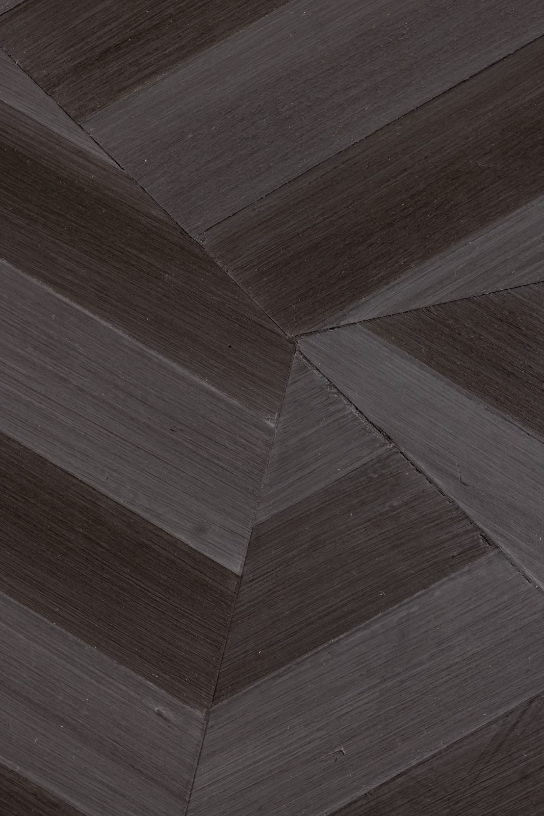 James Little, Cute Star, 2022