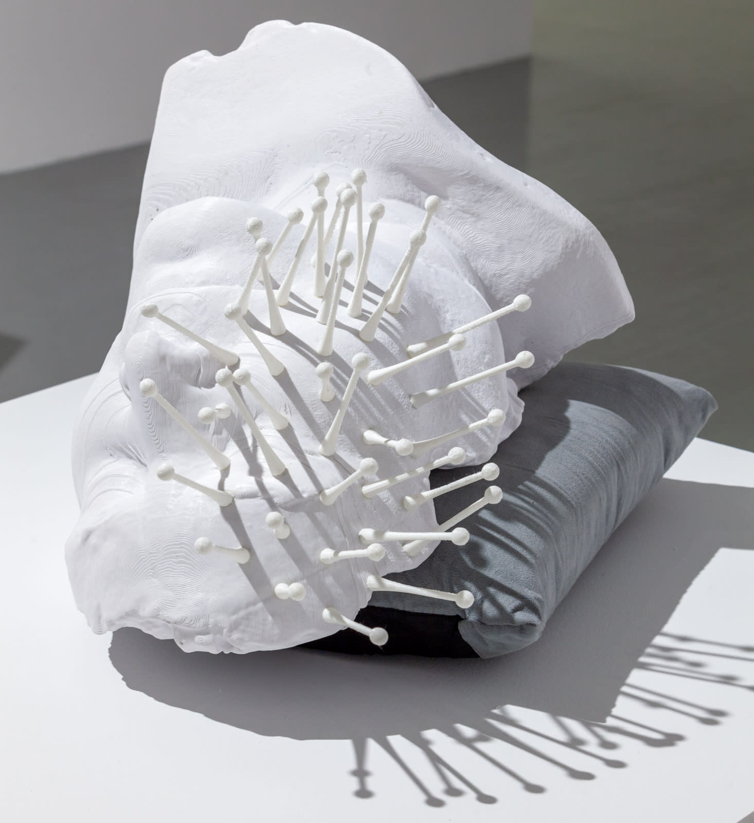 Michael Joo, From Without, 2020