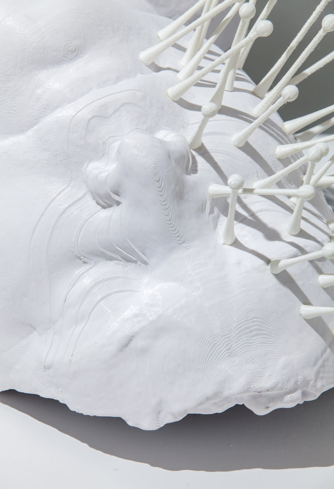 Michael Joo, From Without, 2020