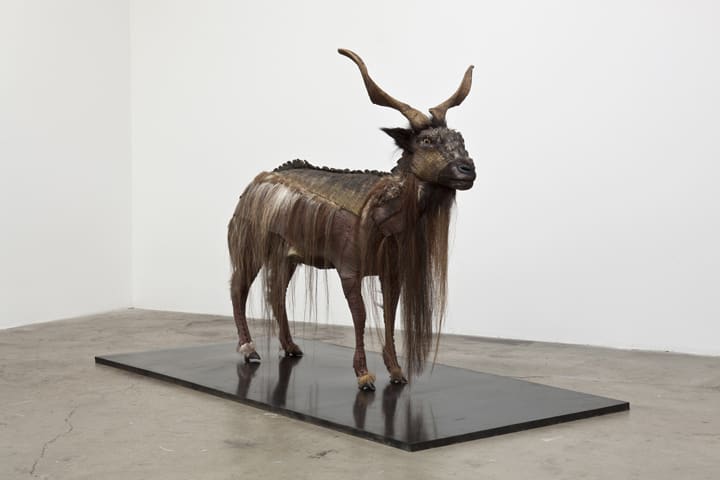 Glenn Kaino, Kage No Gundan #1 (Graft), 2008