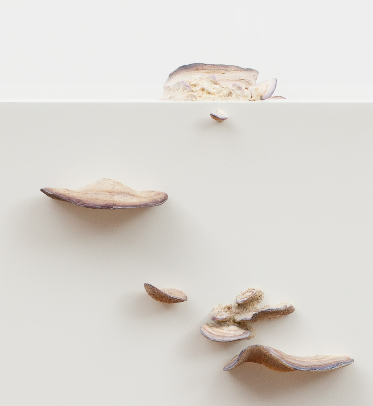 Roxy Paine, Untitled, 2011