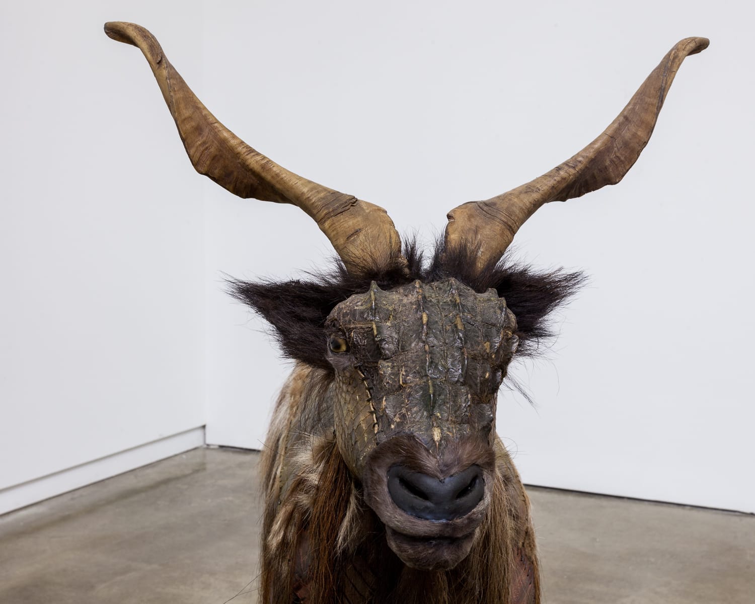 Glenn Kaino, Kage No Gundan #1 (Graft), 2008