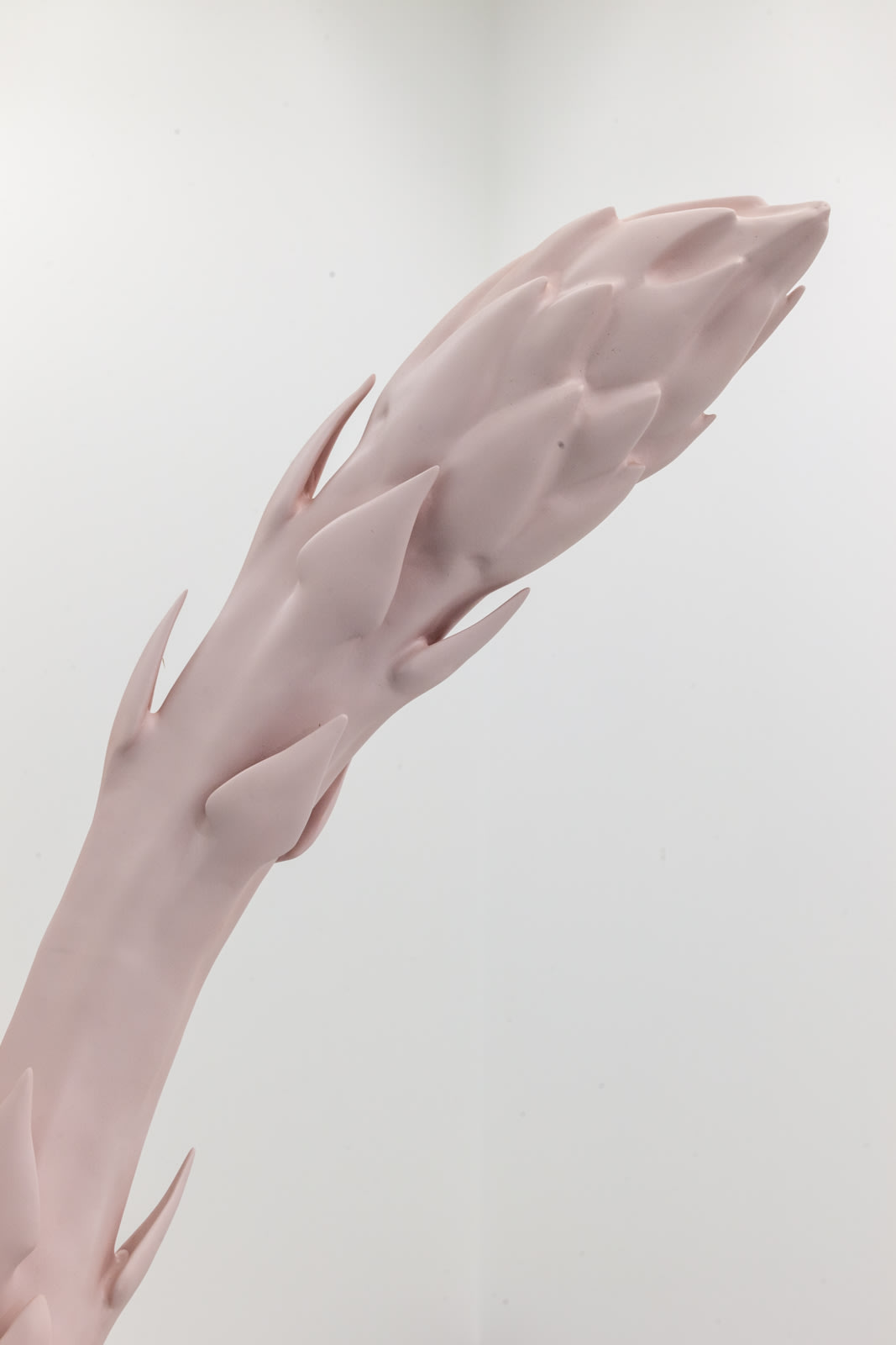 Gracelee Lawrence, An Acute Sense of Physical Famine, 2019