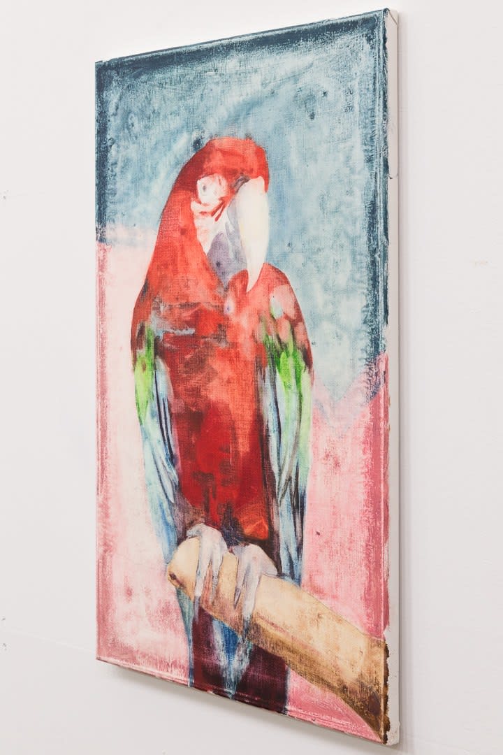 James Krone, Francis, 2015