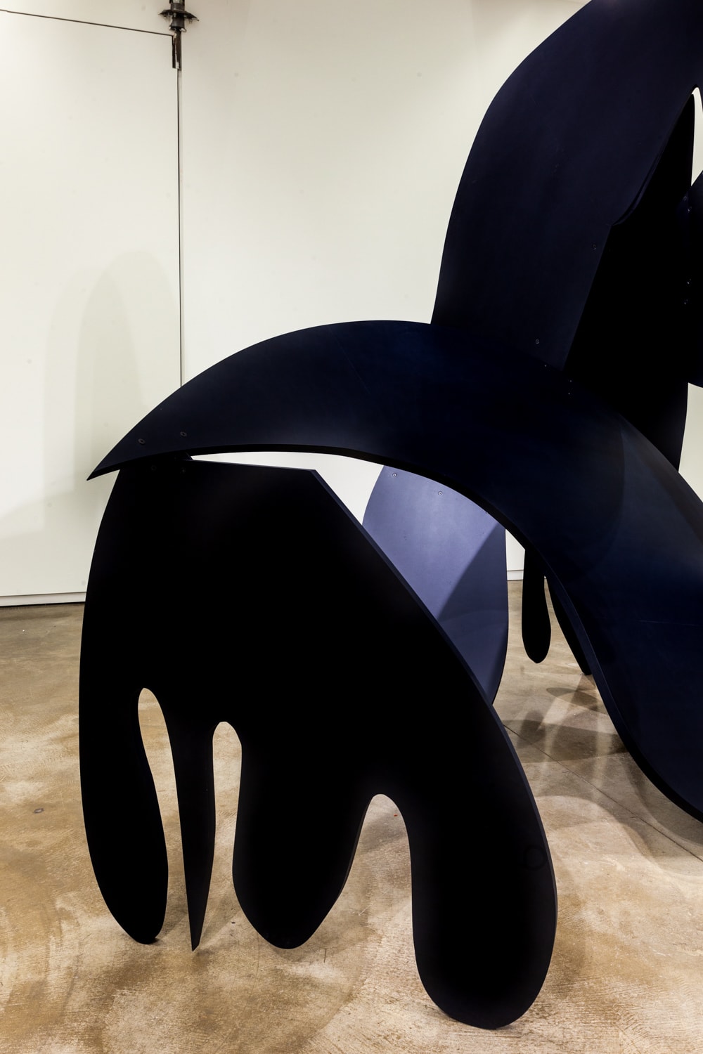Tony Tasset, Crow, 2020