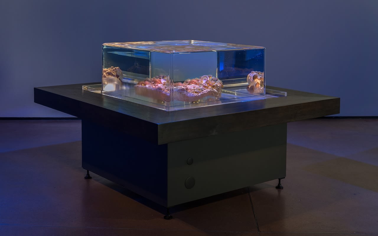 Glenn Kaino, Tanks, 2014