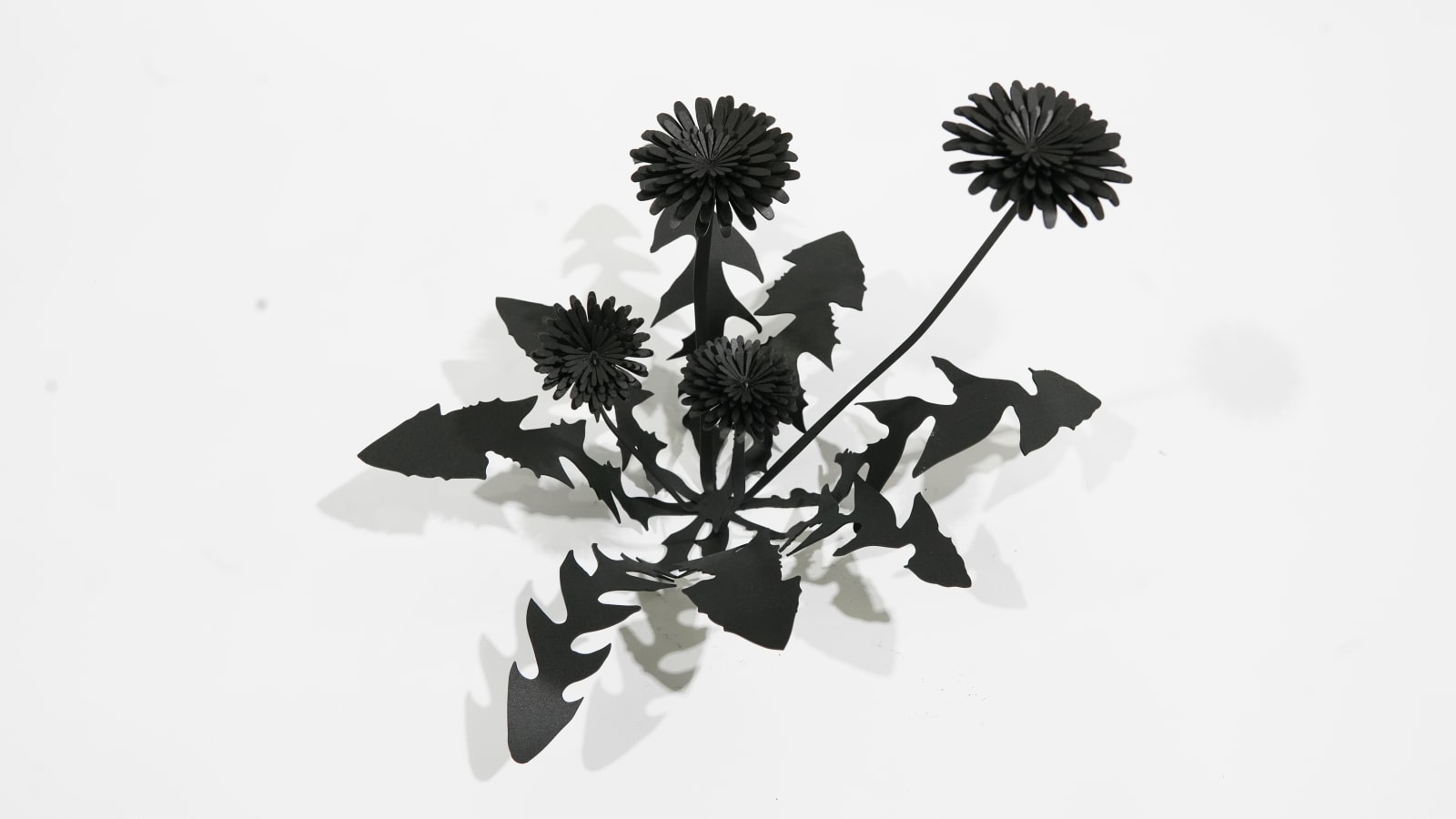 Esmaa Mohamoud, Darkness Doesn’t Rise To The Sun But We Do, 2020