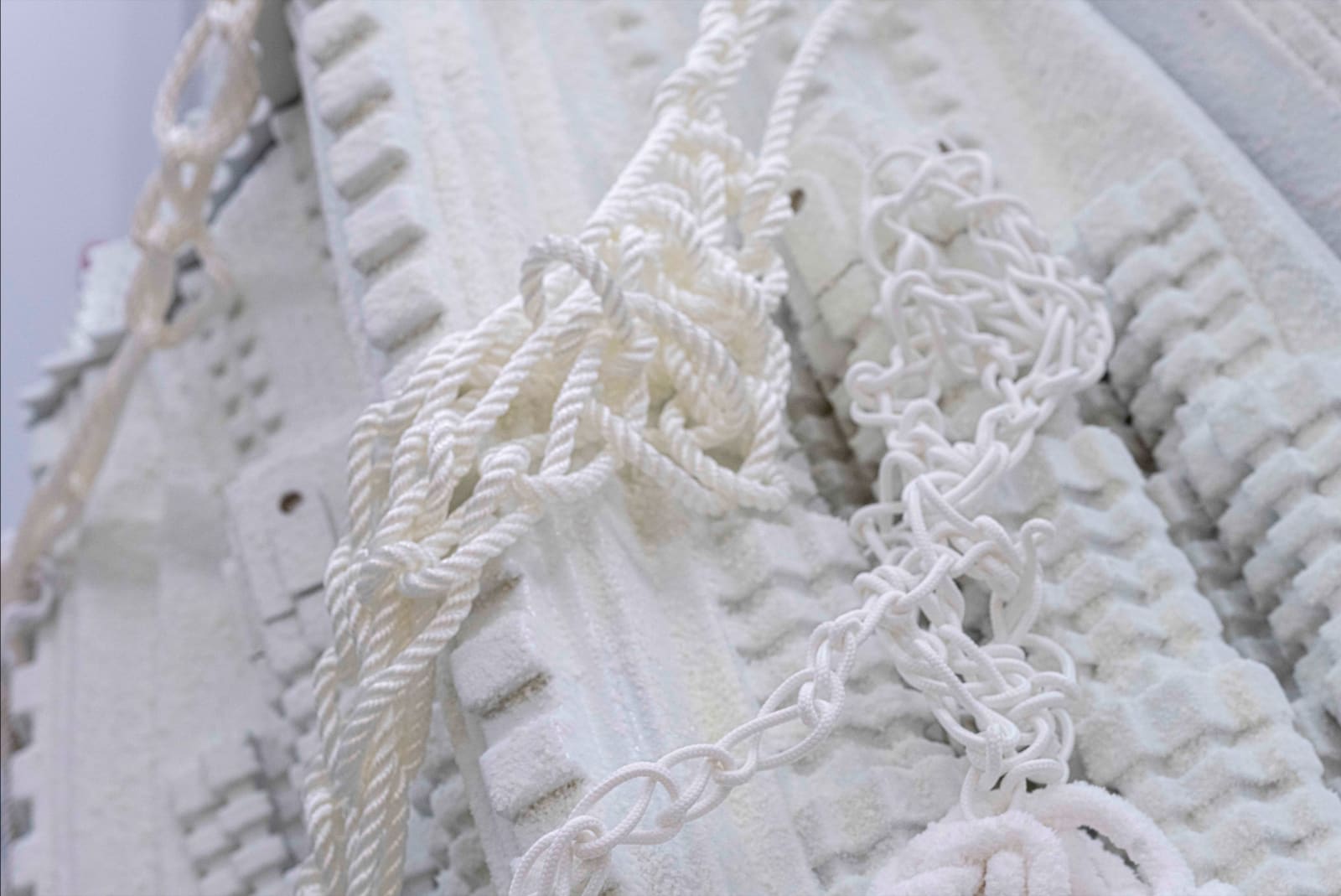 Suchitra Mattai, Osmosis, 2022