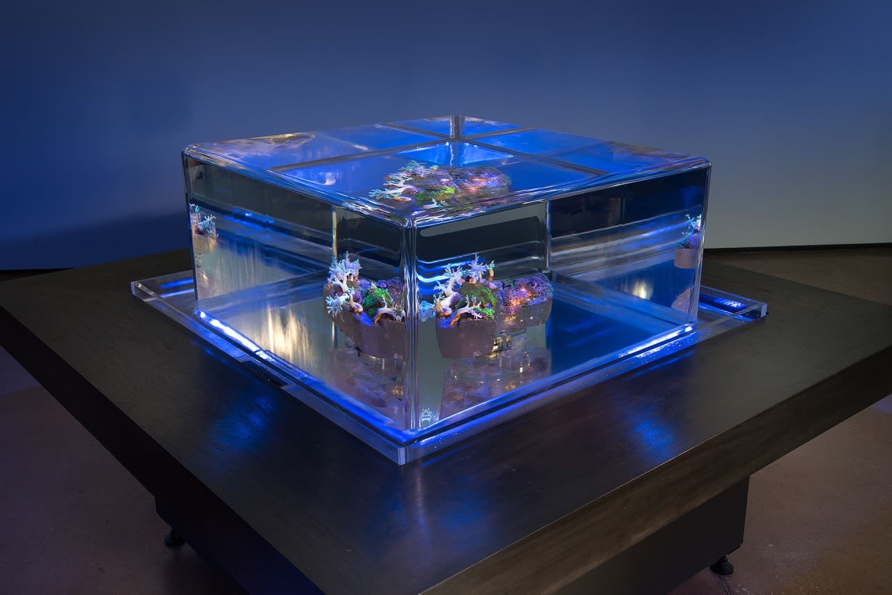 Glenn Kaino, Tanks, 2014