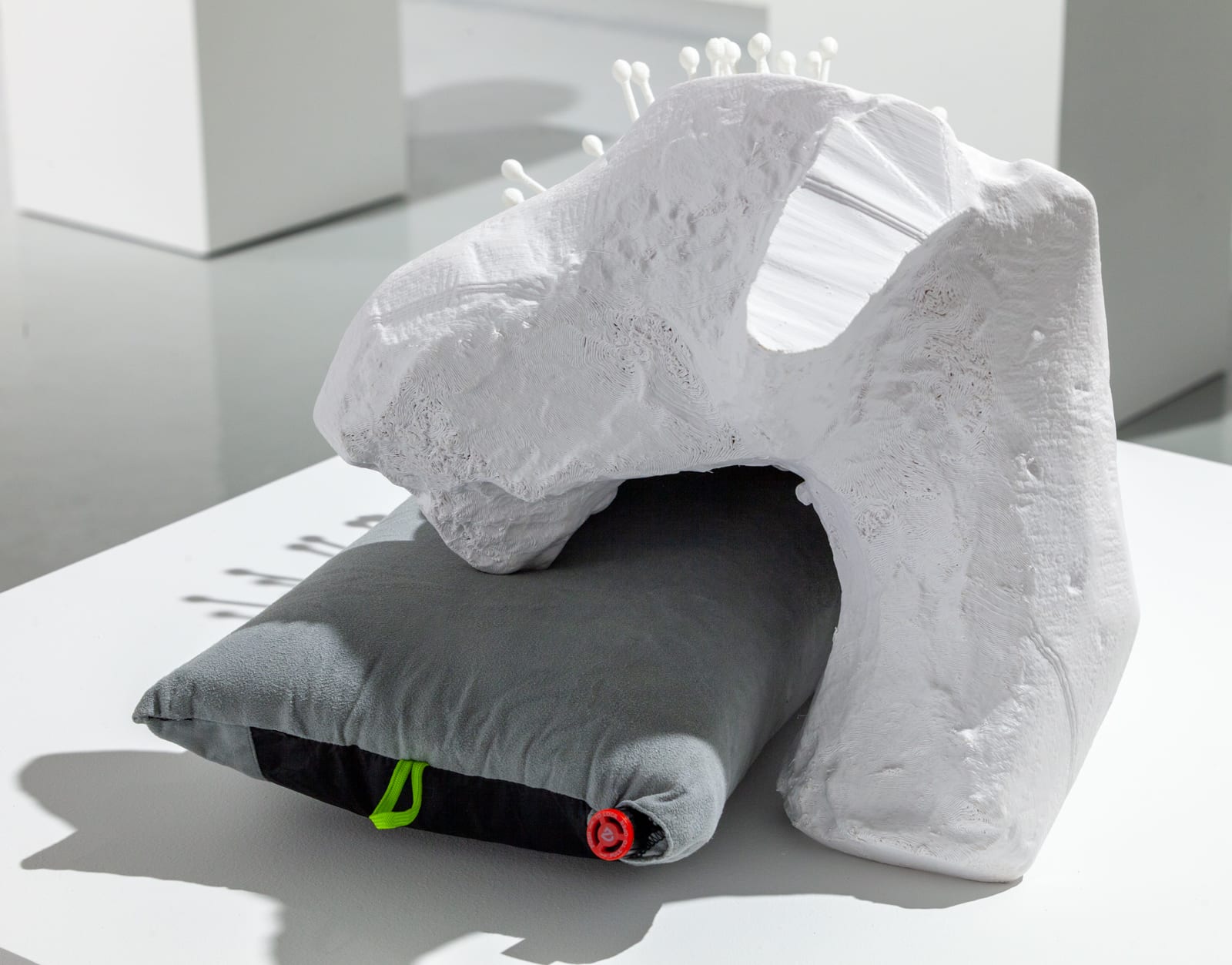 Michael Joo, From Without, 2020