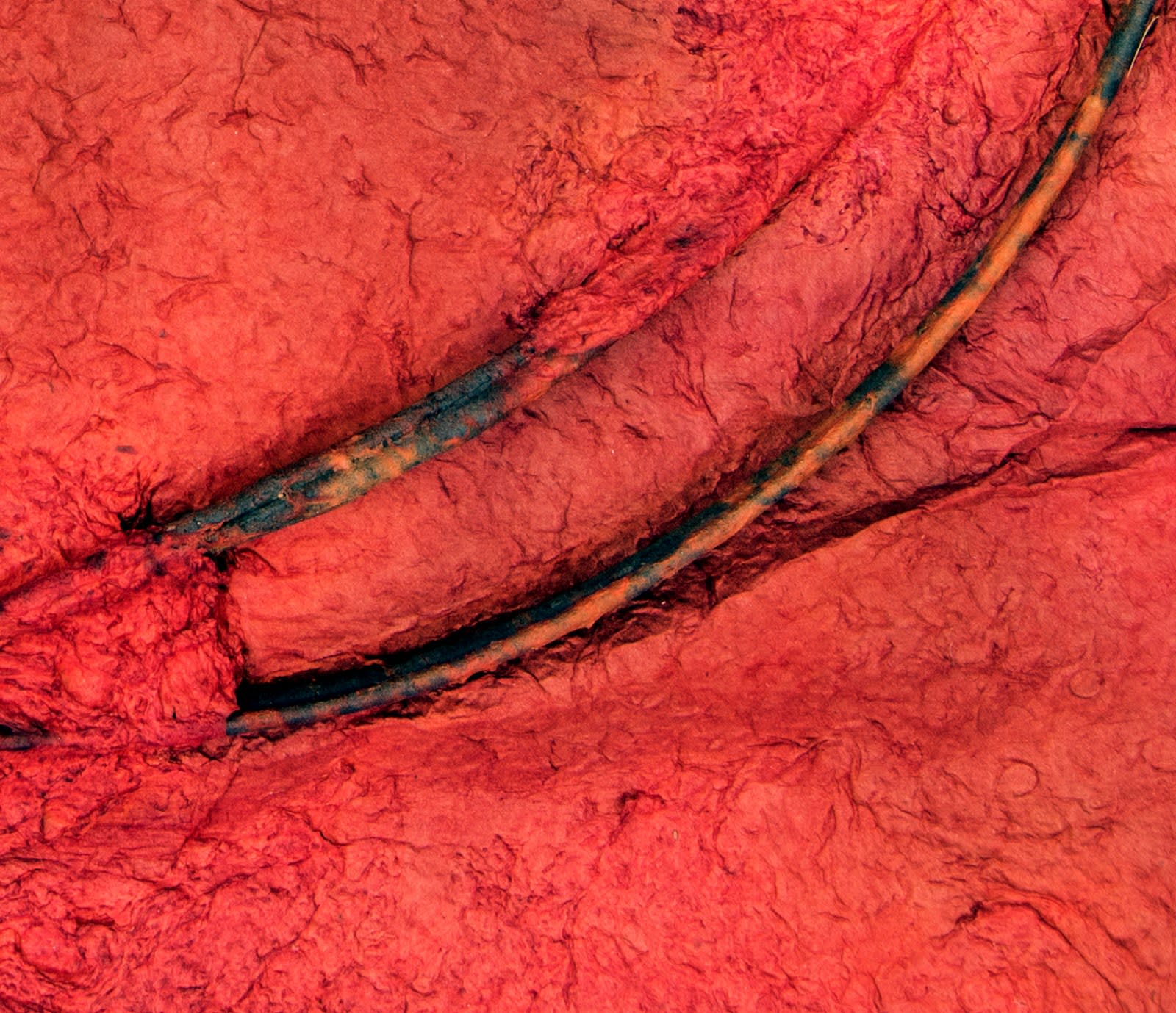 Jessica Stockholder, Untitled (Kathmandu Residency 061), 2019