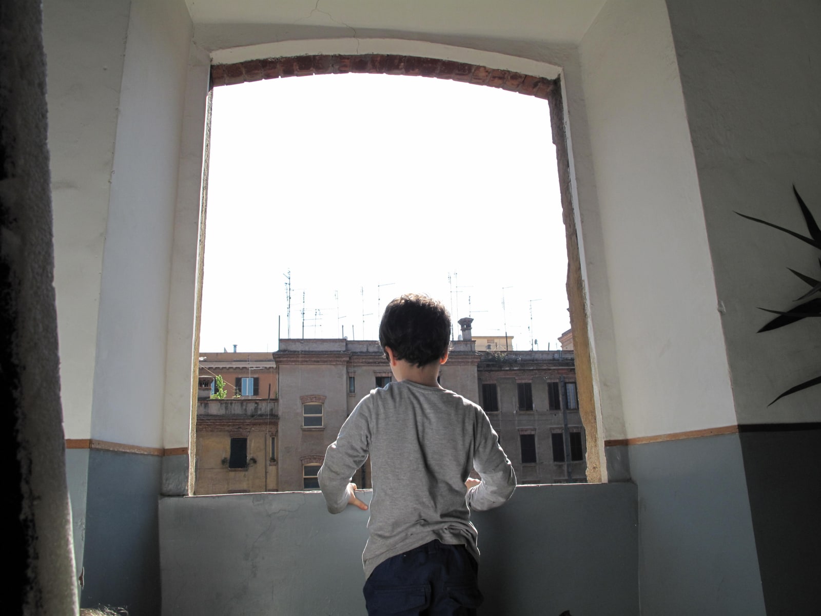 Johanna Billing, I’m gonna live anyhow until i die, 2012