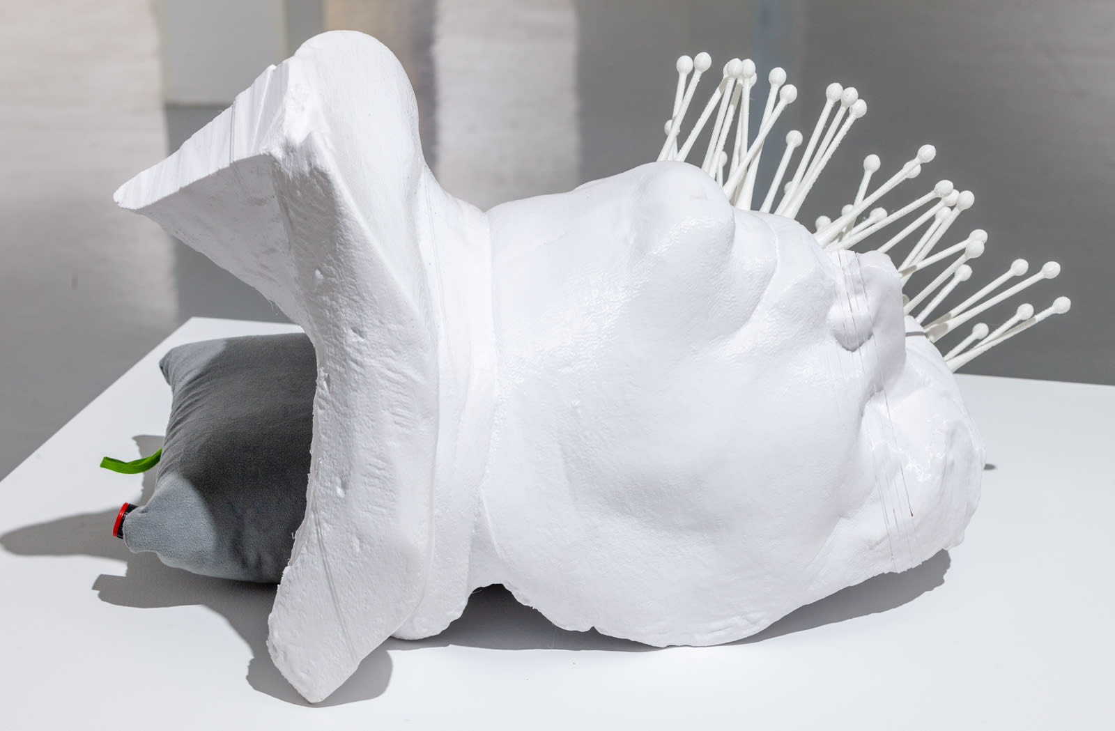 Michael Joo, From Without, 2020