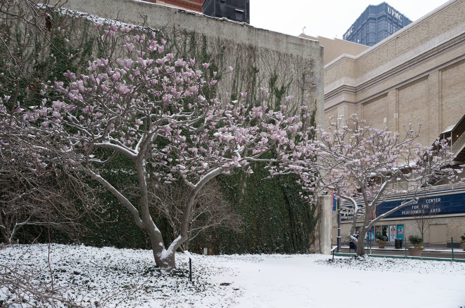 Tony Tasset, Magnolias for Pittsburgh, 2006