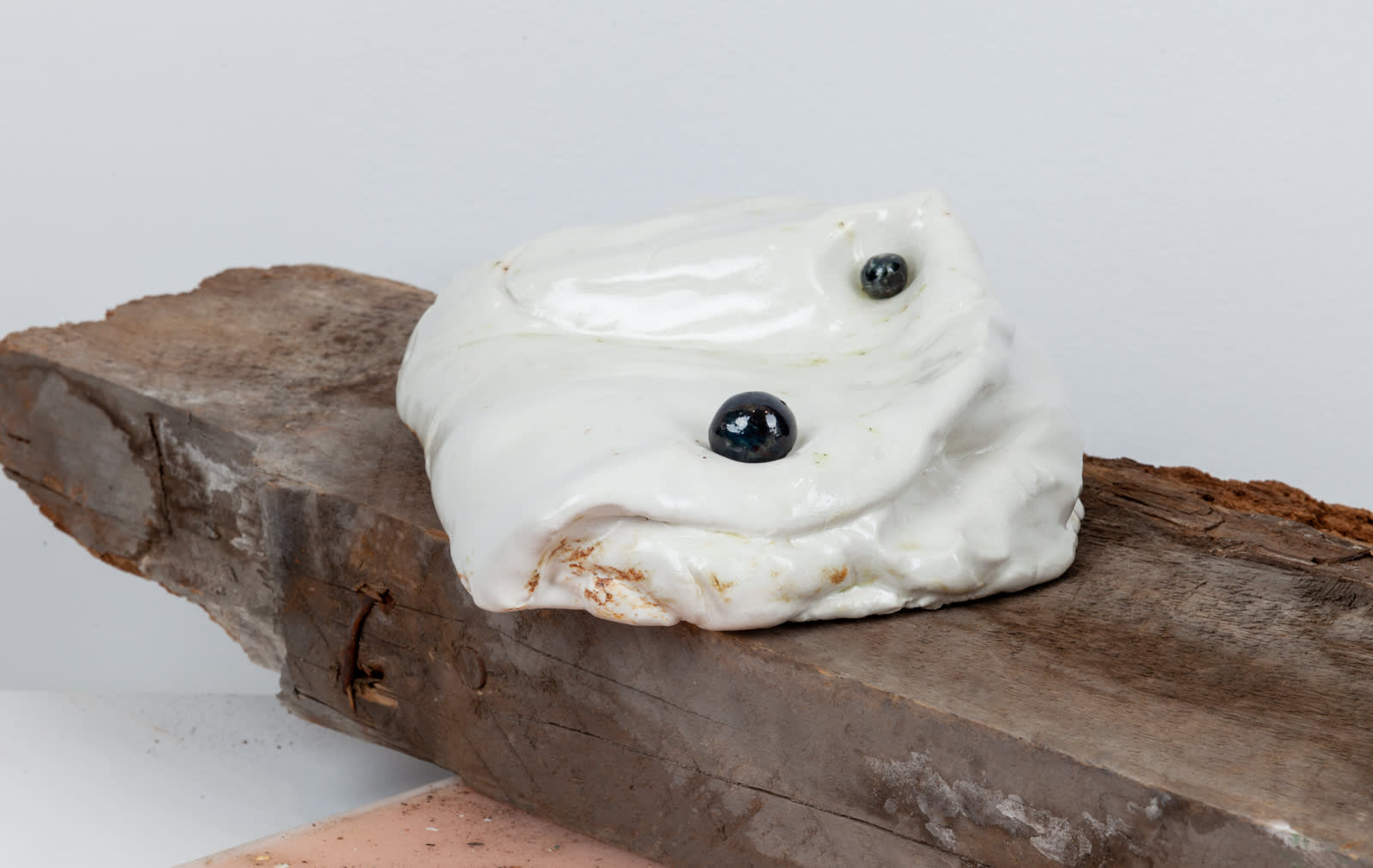 Manuel Mathieu, White Gaze, 2021