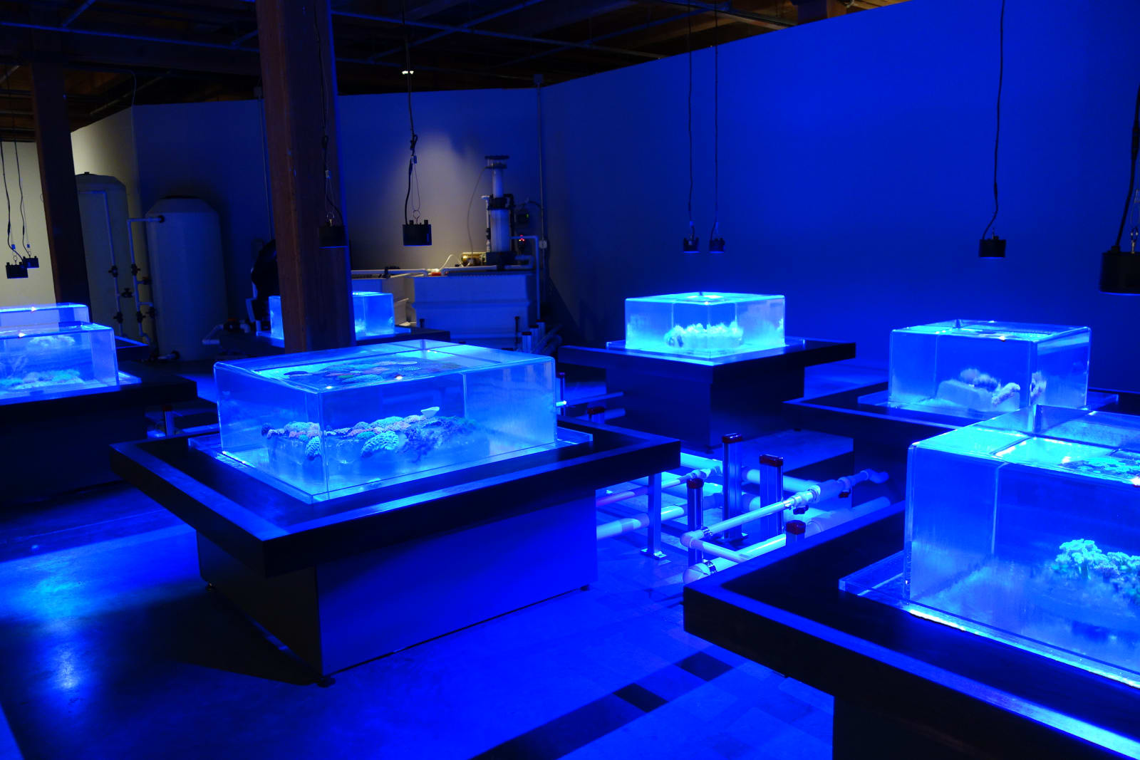 Glenn Kaino, Tanks, 2014