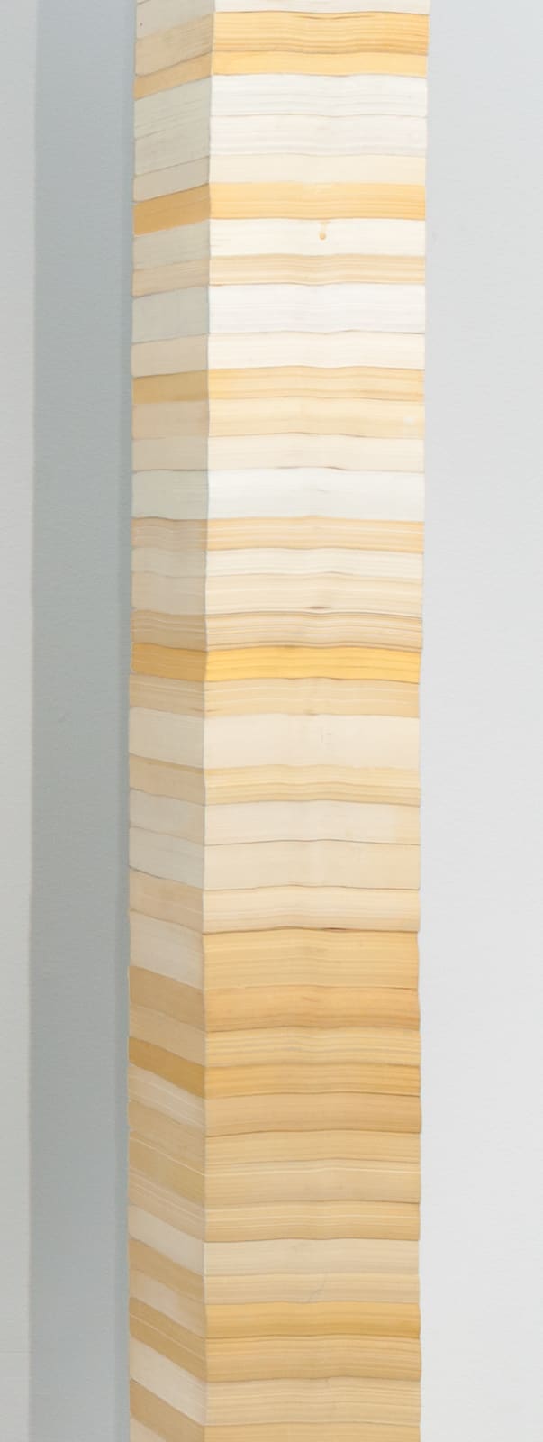 Manish Nai, Untitled, 2019