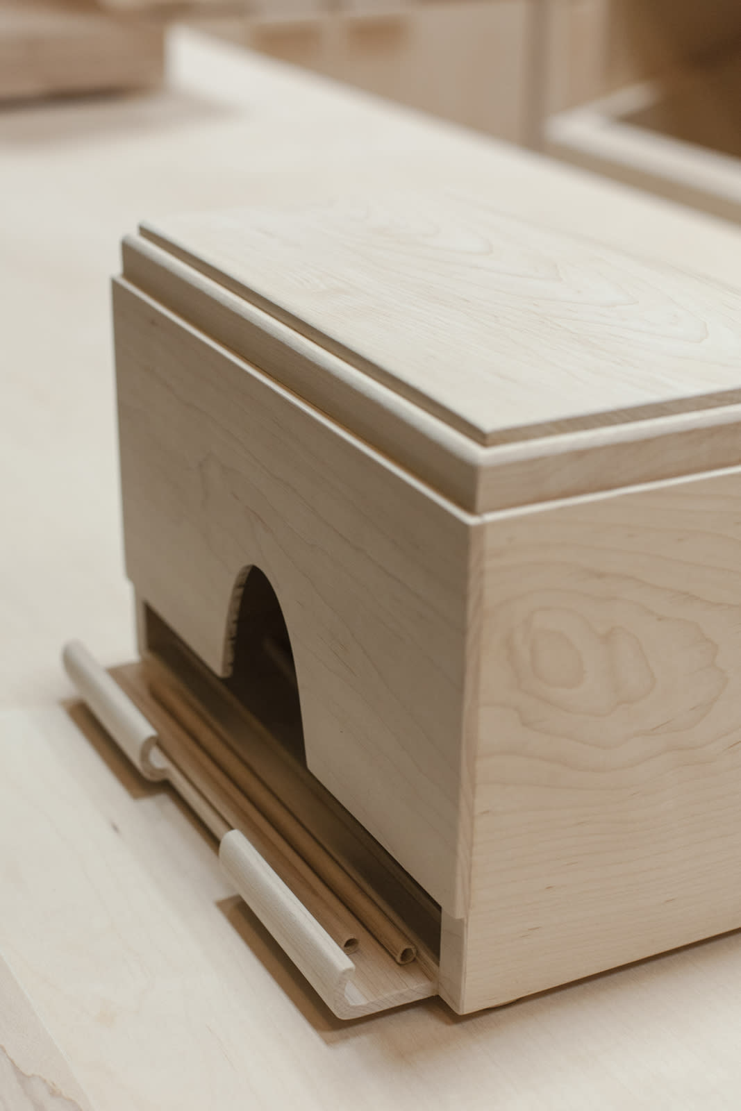 Roxy Paine, Carcass - Diorama, 2013