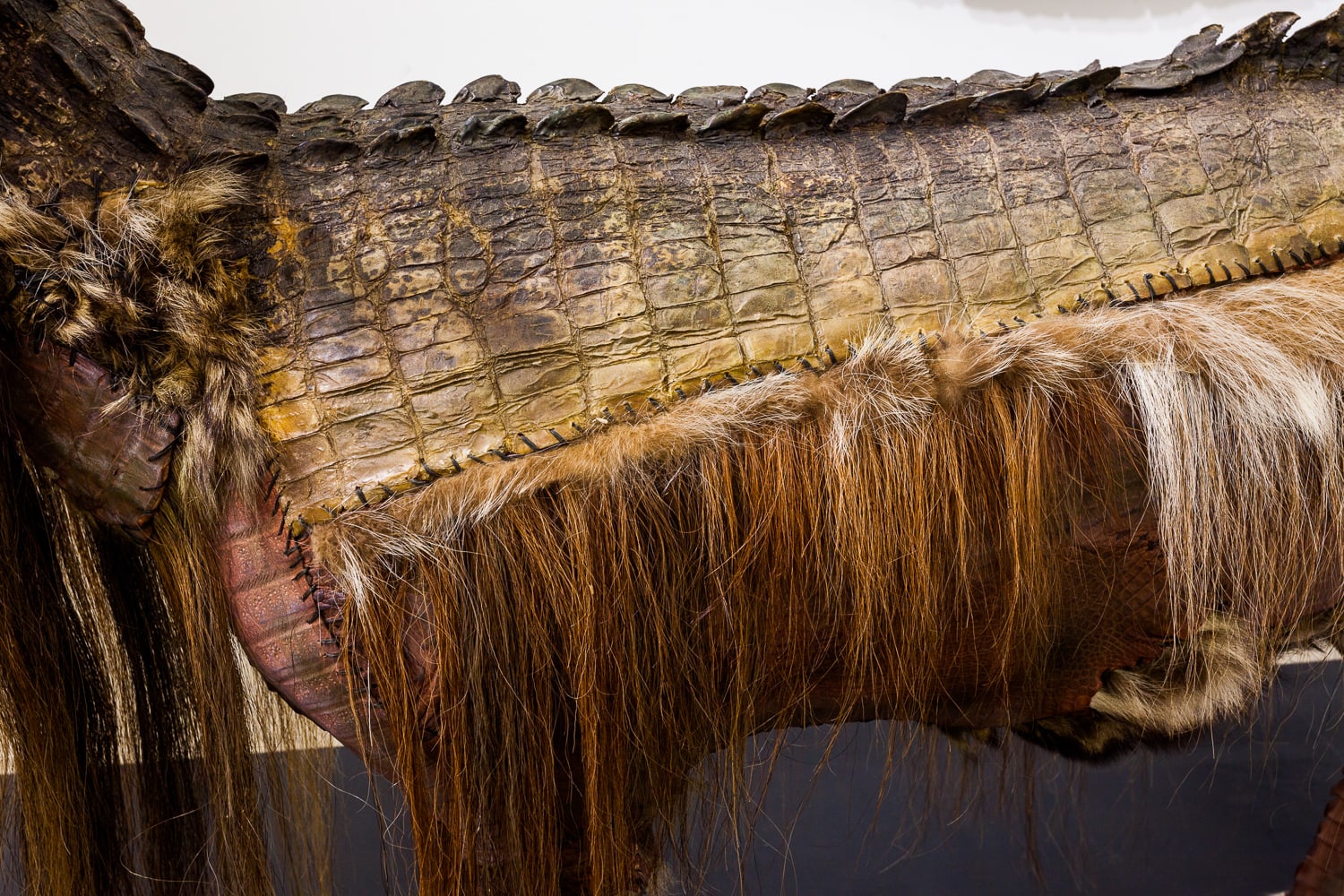 Glenn Kaino, Kage No Gundan #1 (Graft), 2008