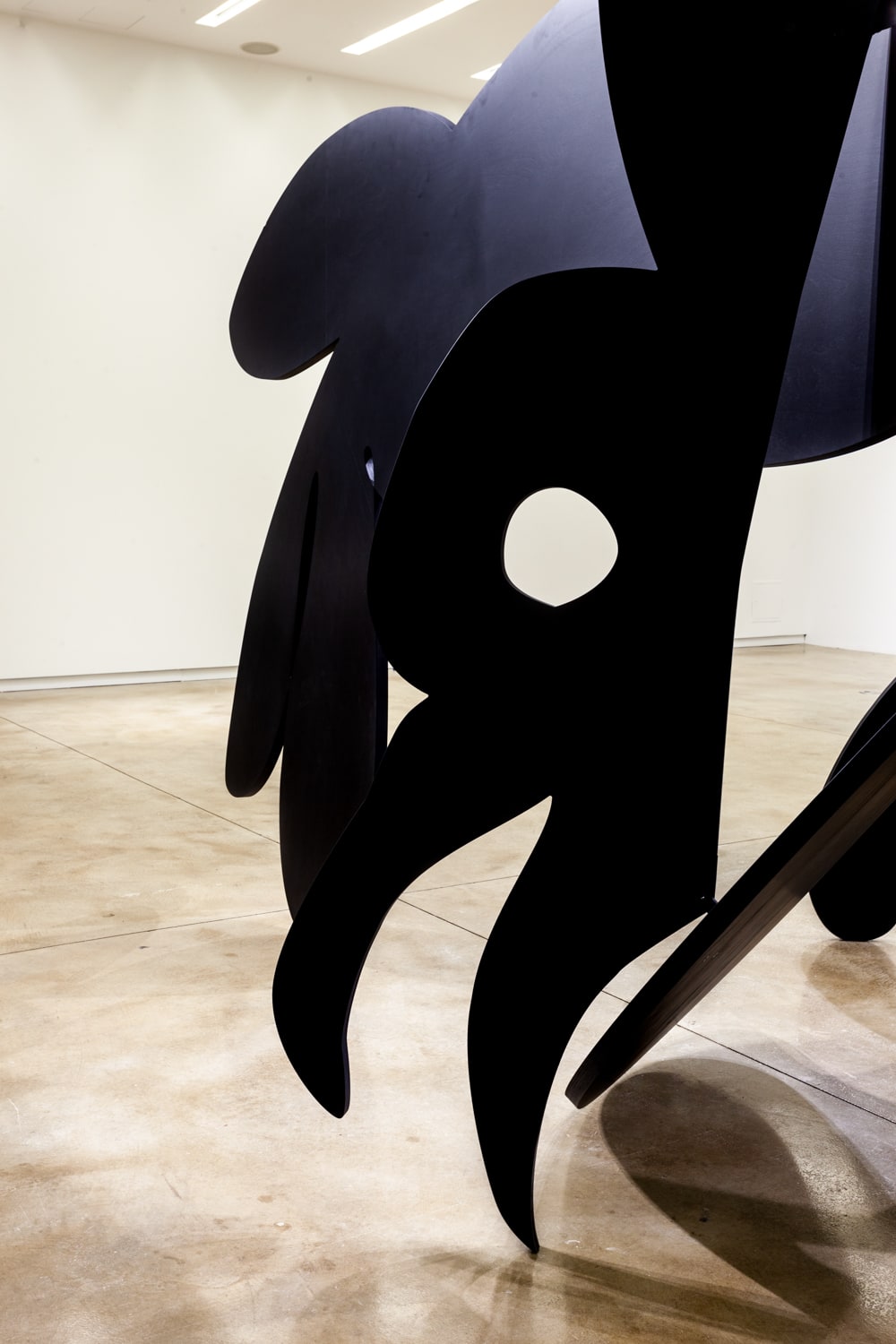 Tony Tasset, Crow, 2020