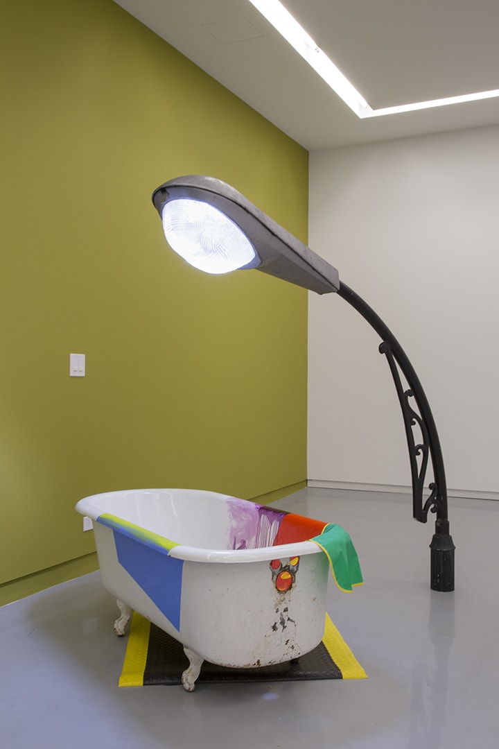 Jessica Stockholder, A Freezer, 2015