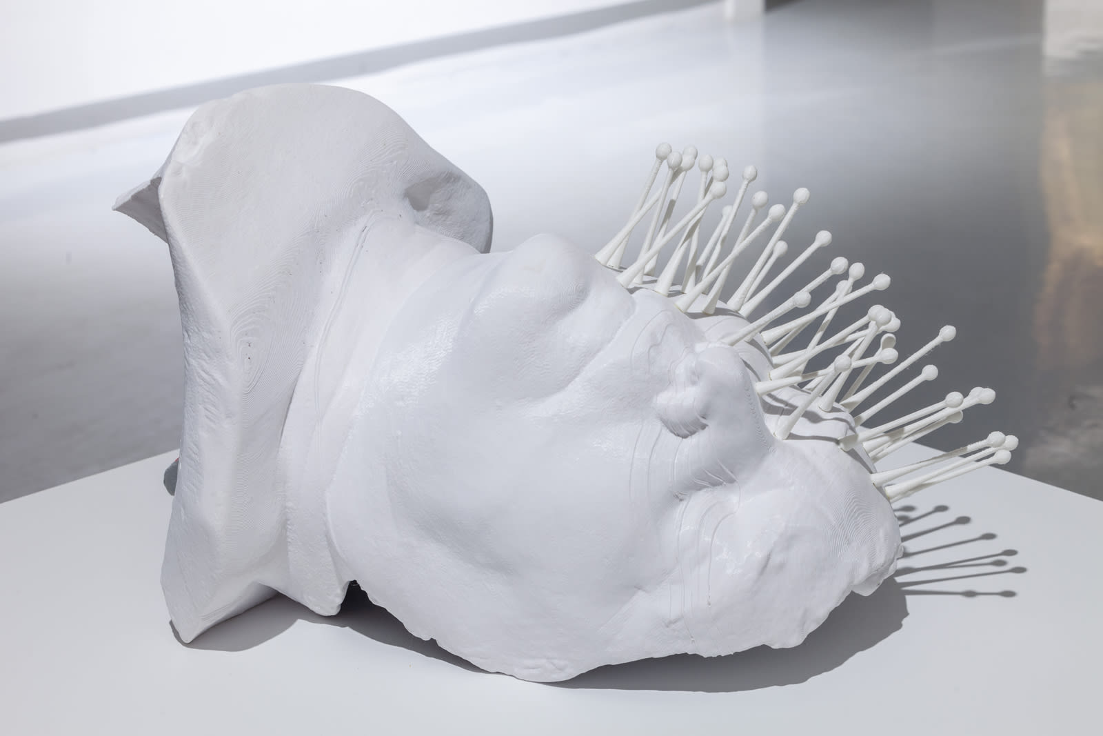 Michael Joo, From Without, 2020