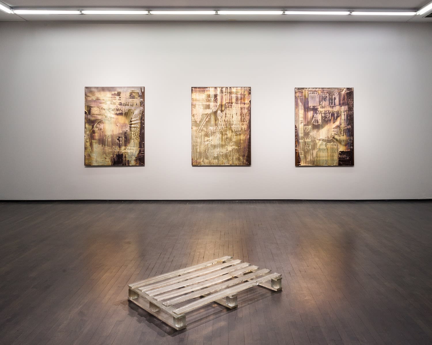 Michael Joo, Various Low Mass Stars (NY Farm Colony 2), 2018