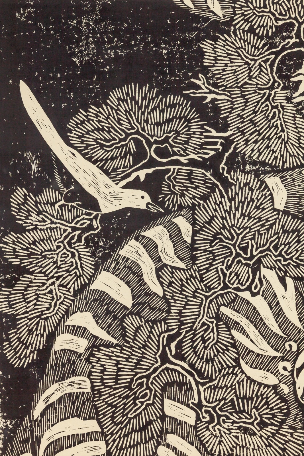 Kour Pour, Little Brother, 2021