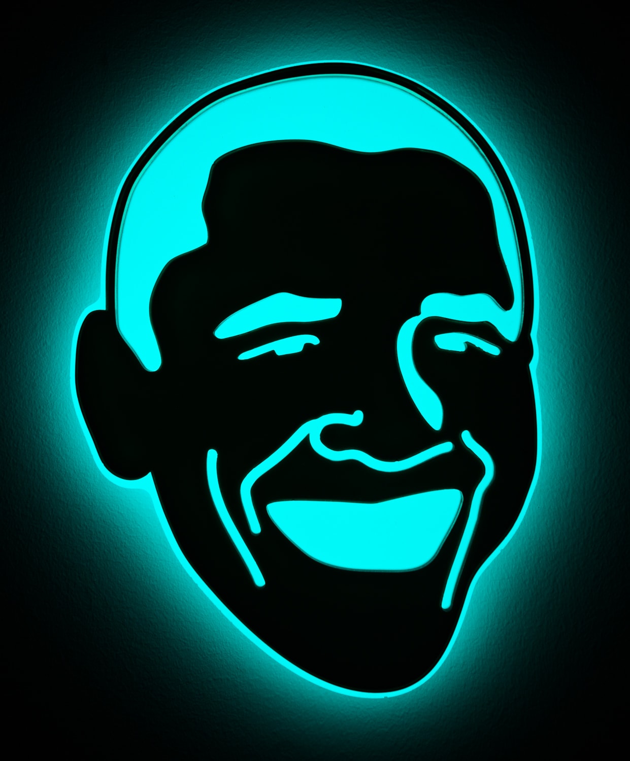 Beverly Fishman, Untitled (Obama), 2010