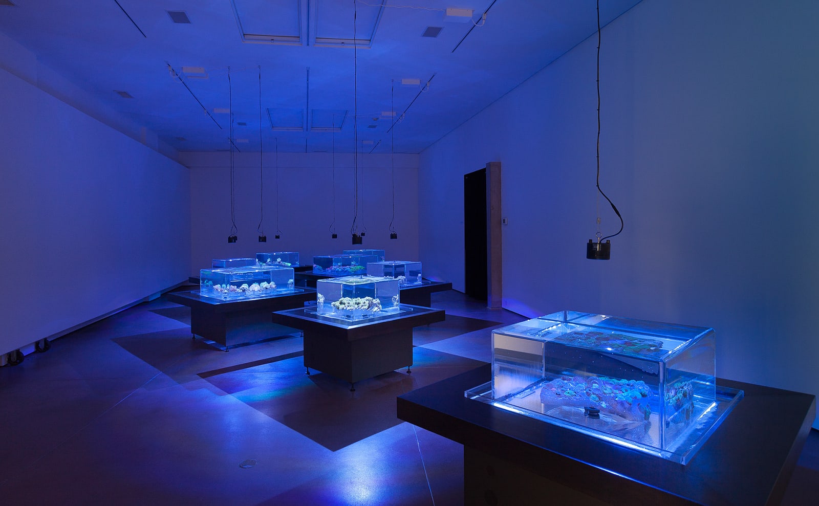 Glenn Kaino, Tanks, 2014