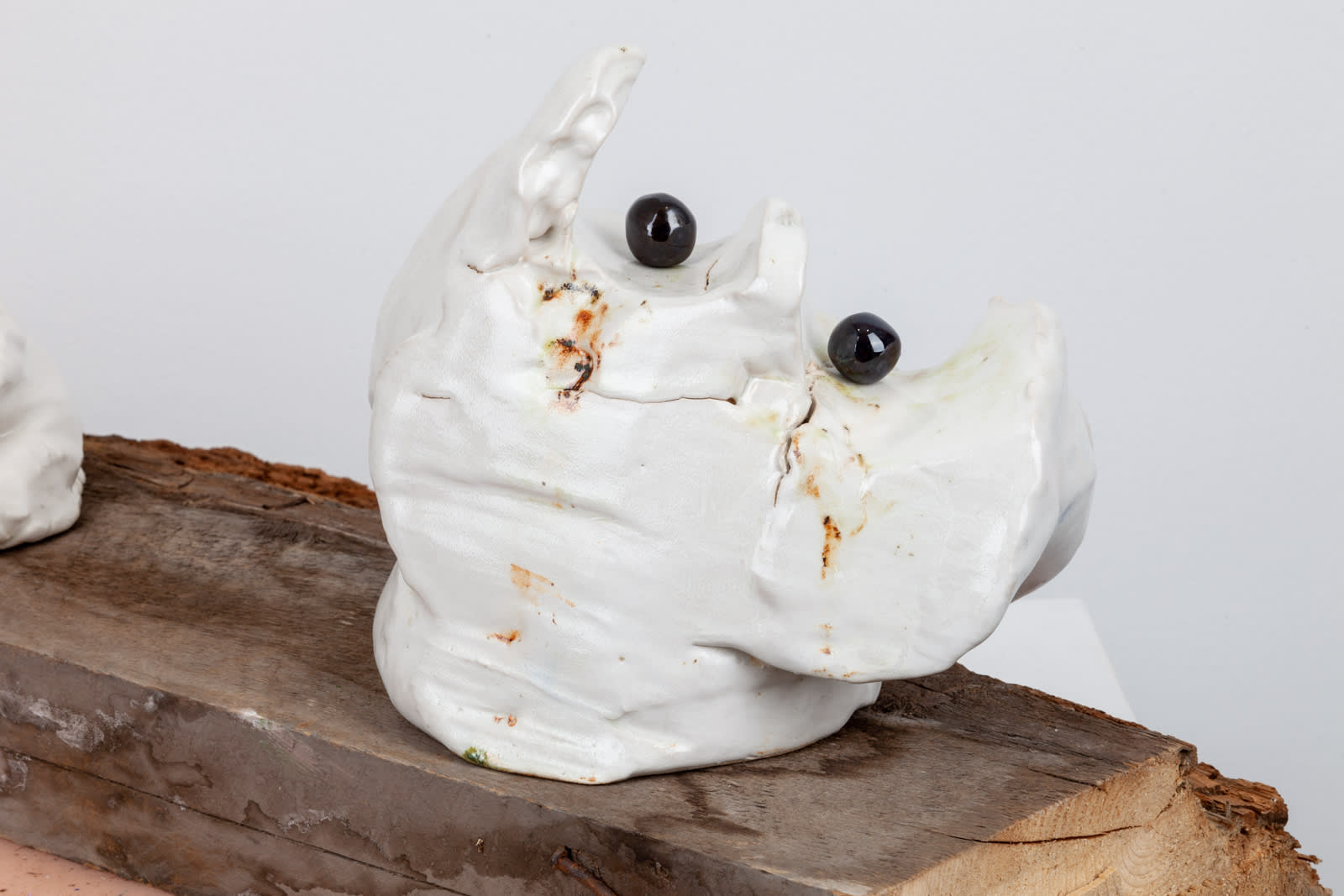 Manuel Mathieu, White Gaze, 2021