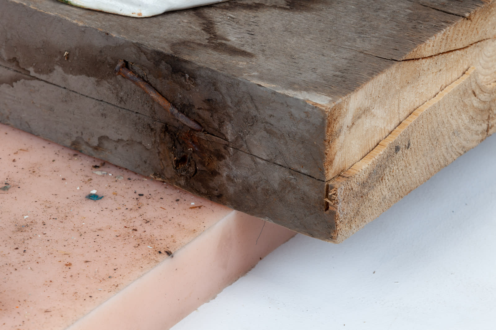 Manuel Mathieu, White Gaze, 2021