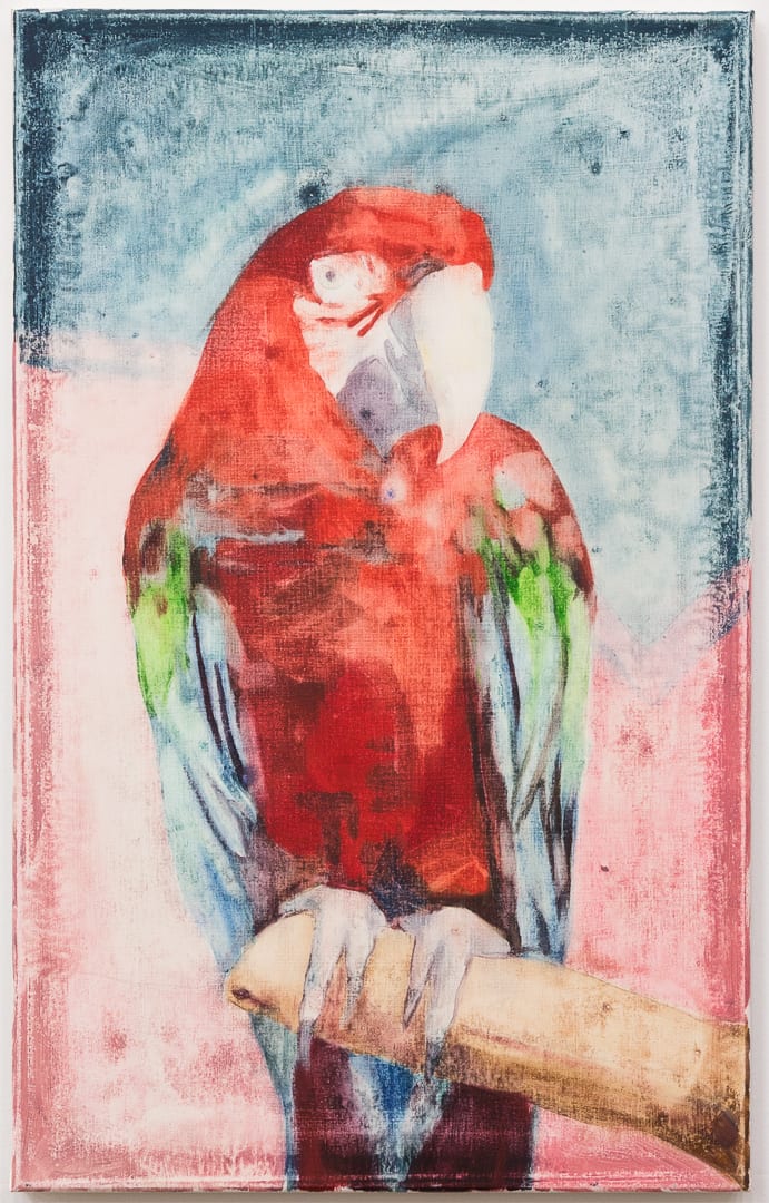 James Krone, Francis, 2015