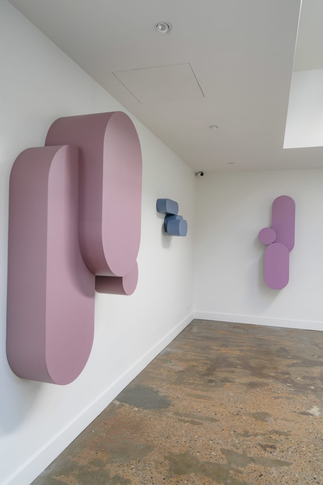 Ben Sheers, Heliotrope, 2025