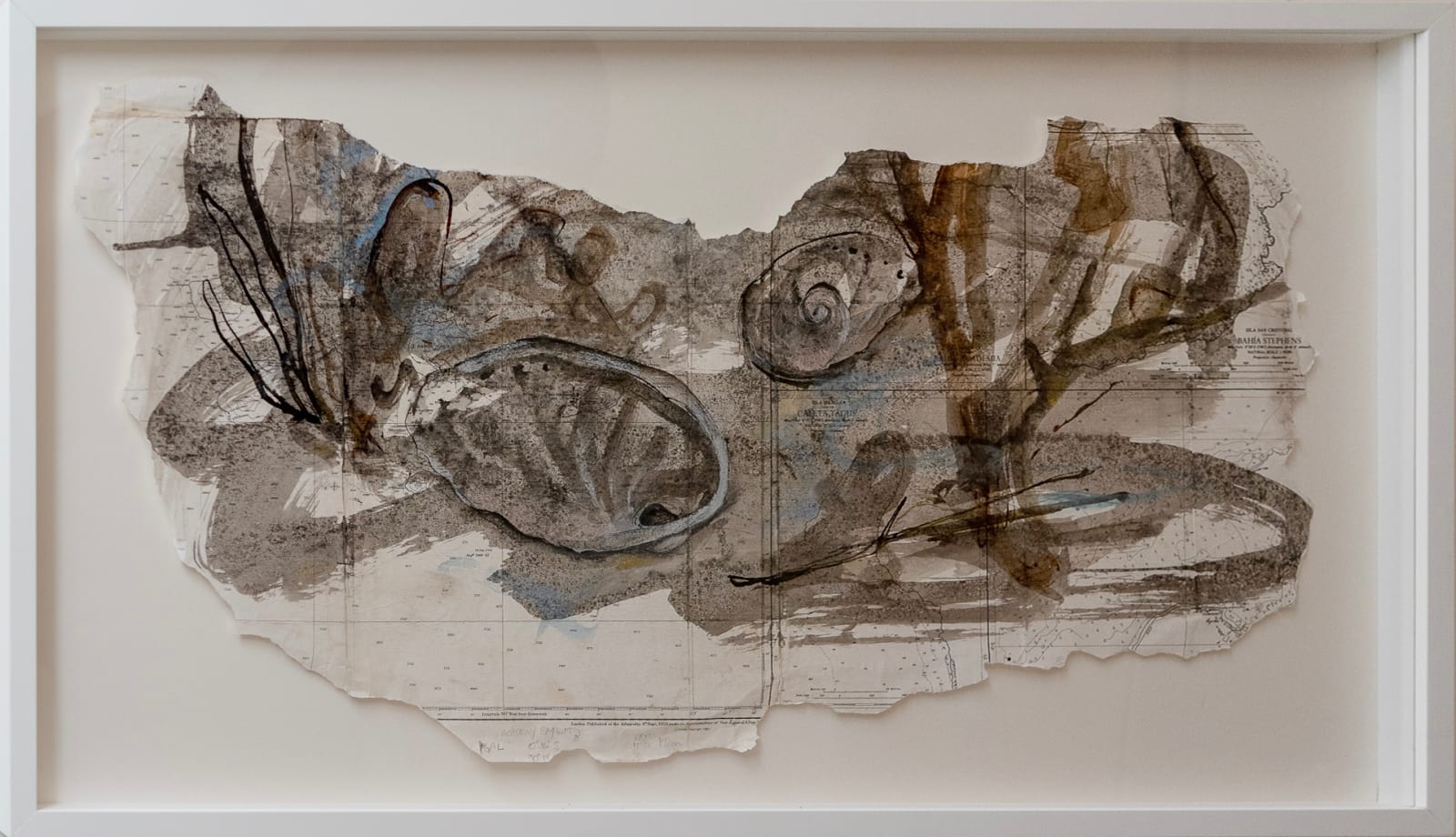 Julie Hamilton, Sea Shells, 2025