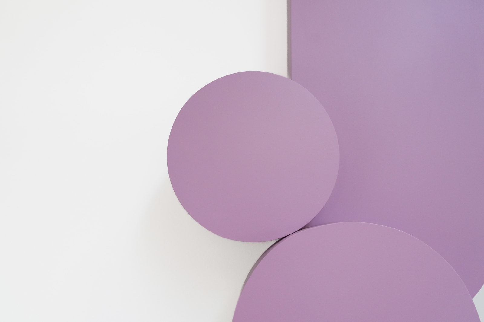 Ben Sheers, Heliotrope, 2025