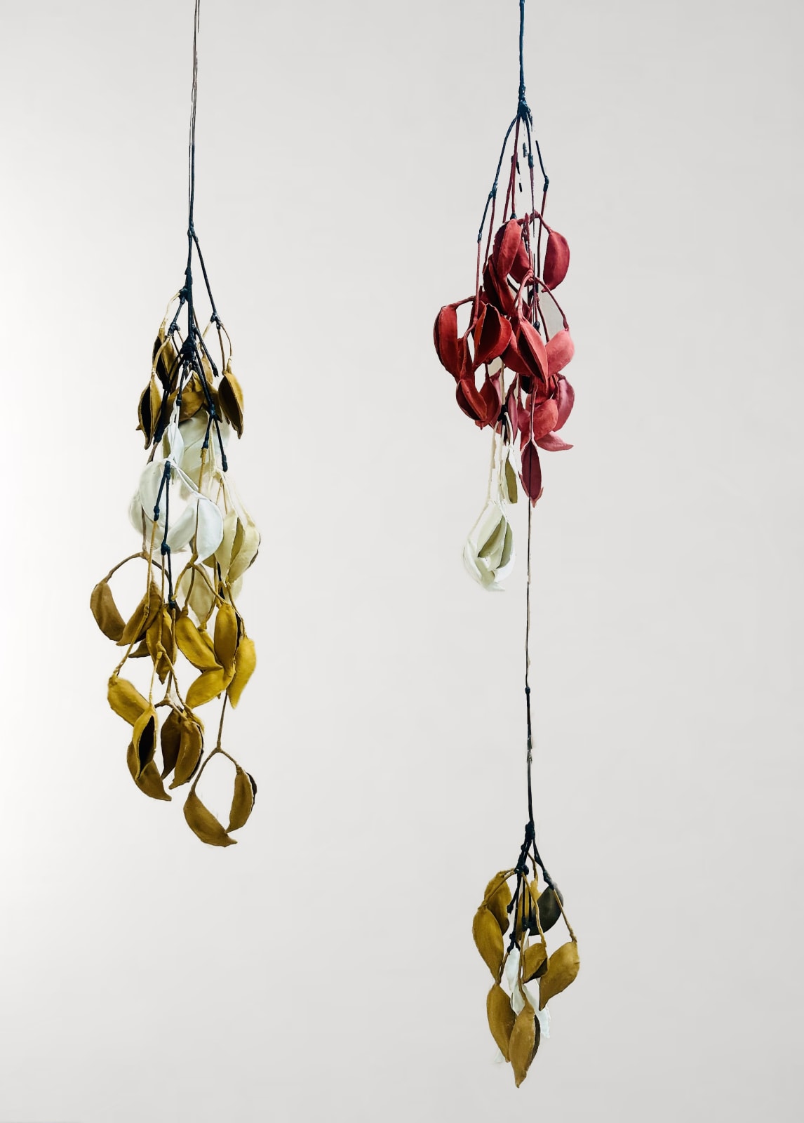 Emma Davies, Untitled I (raw sienna/white), 2024