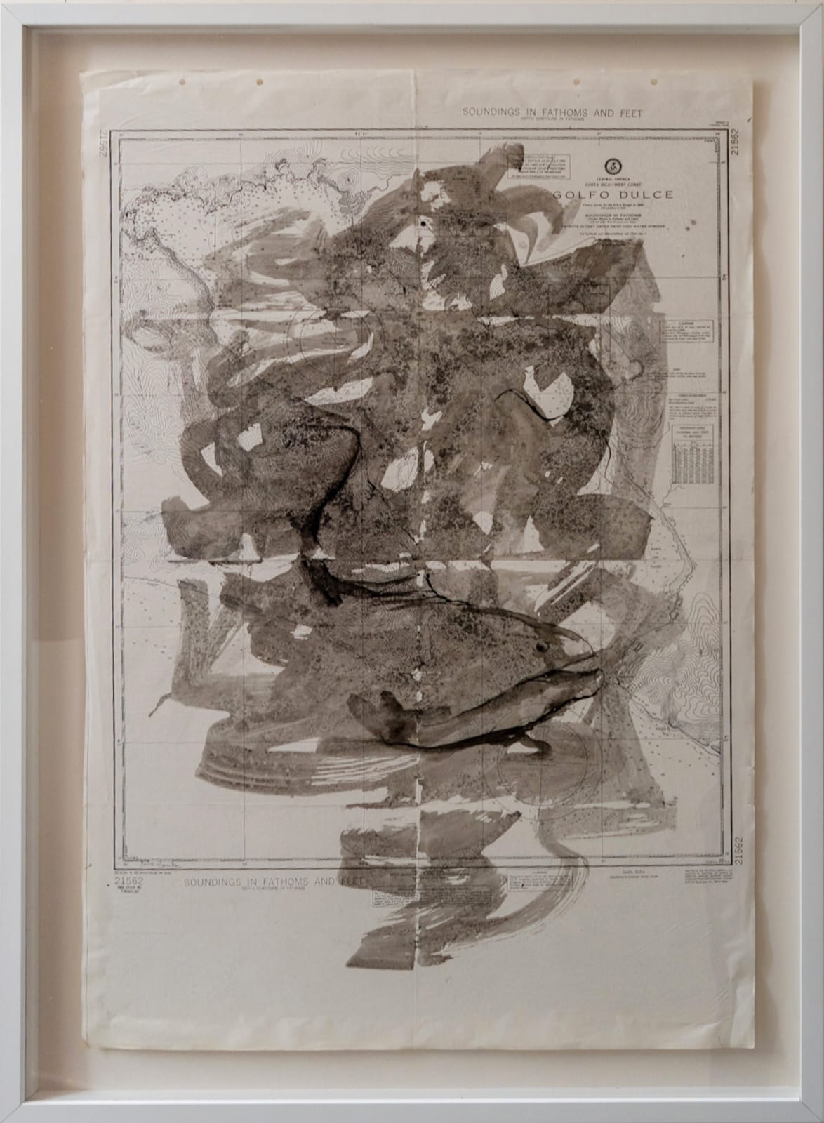 Julie Hamilton, Moray, 2025