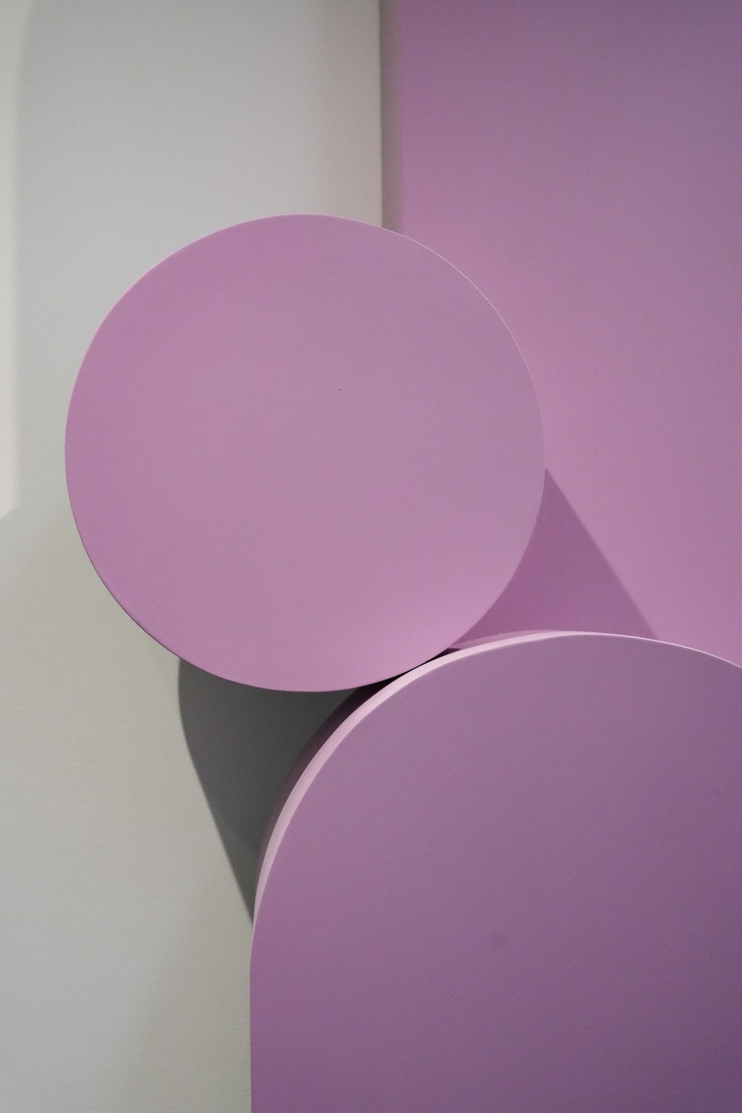 Ben Sheers, Heliotrope, 2025
