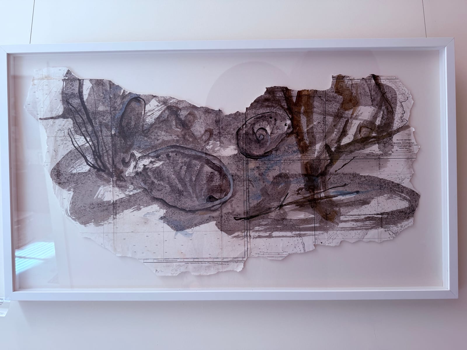 Julie Hamilton, Sea Shells, 2025