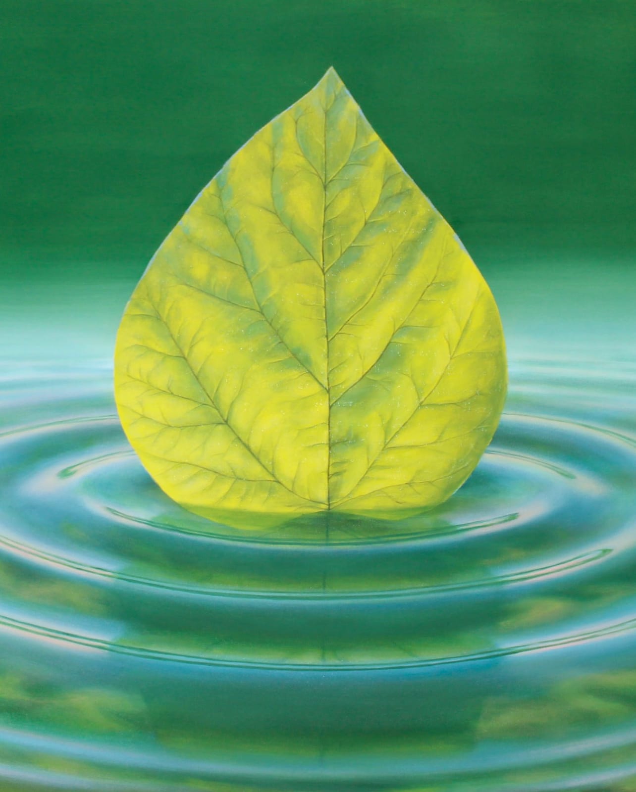 Alexis Herman, Suspended Catalpa, 2025
