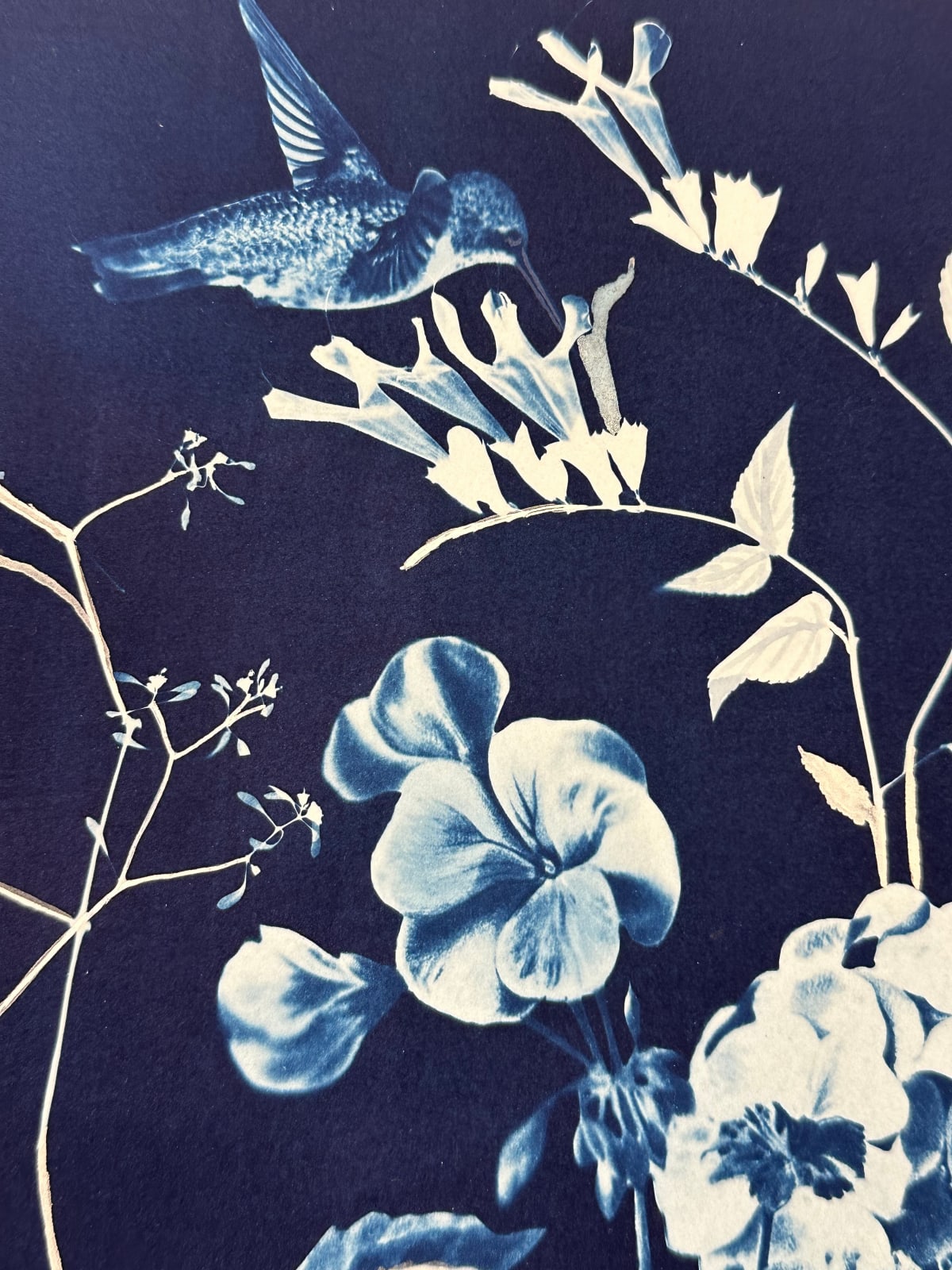 Julia Whitney Barnes, Nocturnal Nature (Geranium, Ferns, Hummingbird, etc.), 2021