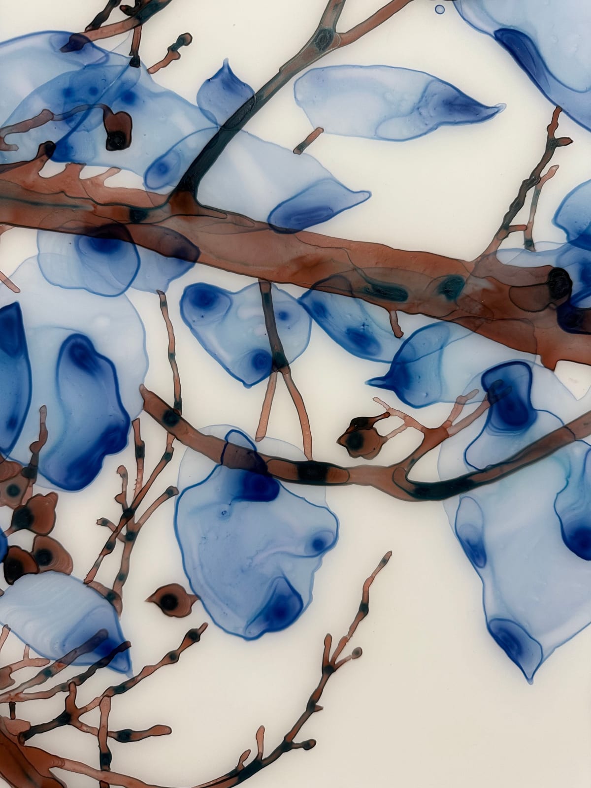 Jackie Battenfield, Unclouded cs1, 2022
