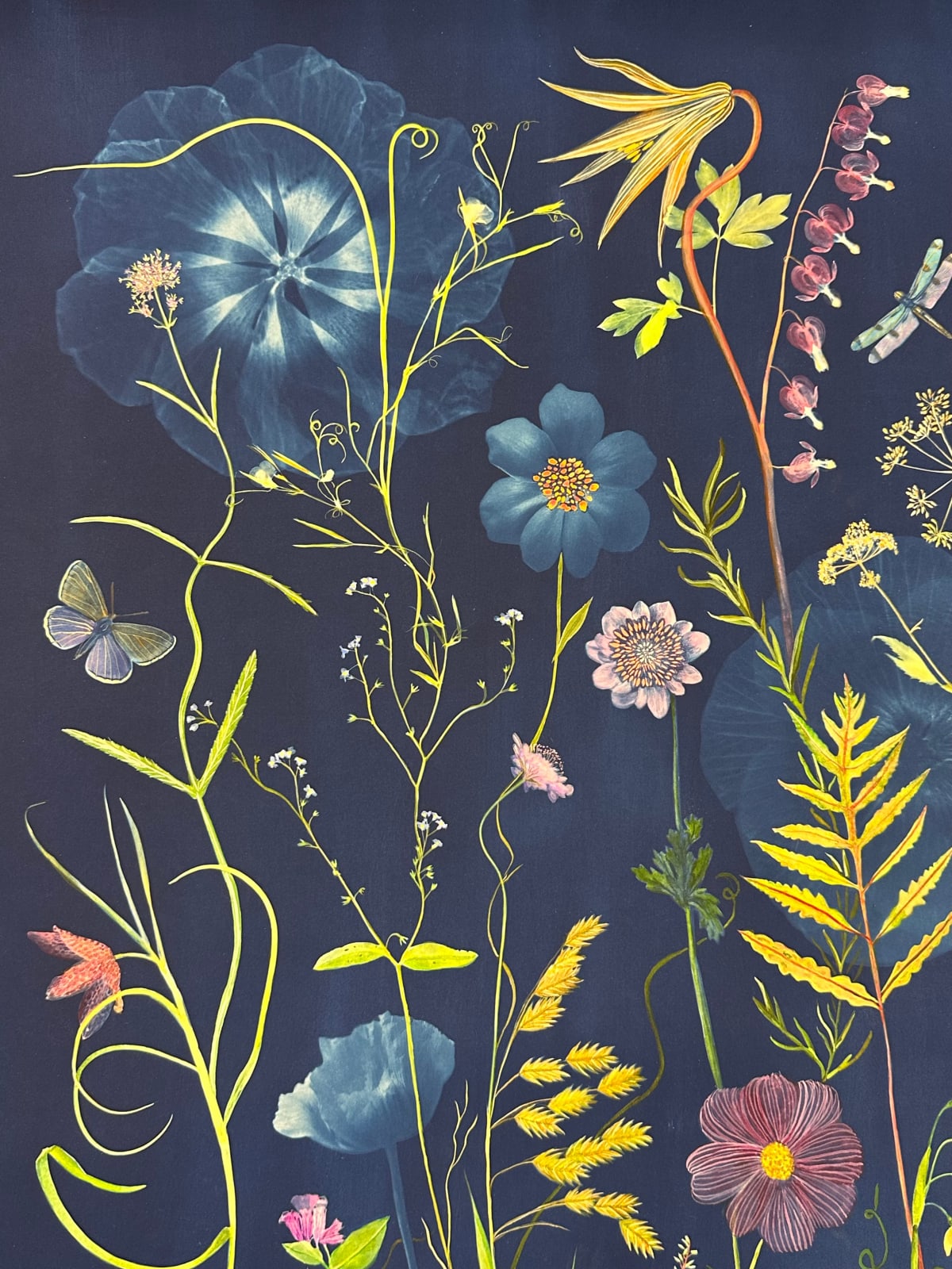 Julia Whitney Barnes, Picturesque Botany (Lily, Bleeding Hearts, Cosmos, Forget-me-not, Pollinators, etc.), 2024