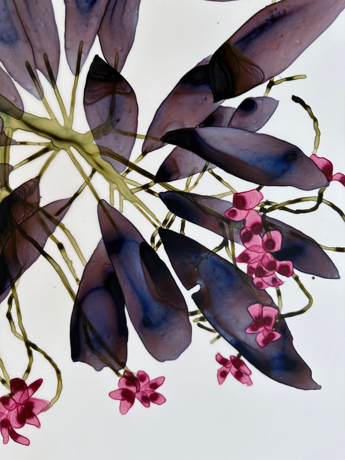 Jackie Battenfield, Whirligig Cs1, 2024